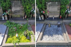 Výměna povrchu 2024